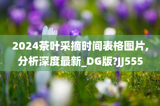 2024茶叶采摘时间表格图片,分析深度最新_DG版?JJ555