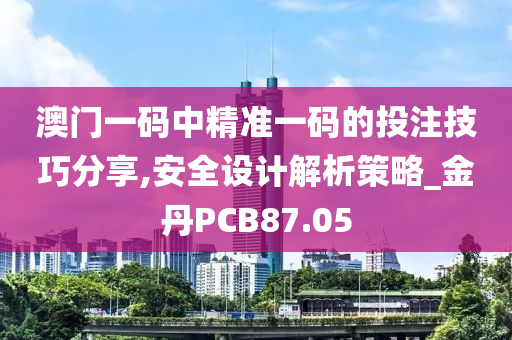 澳门一码中精准一码的投注技巧分享,安全设计解析策略_金丹PCB87.05