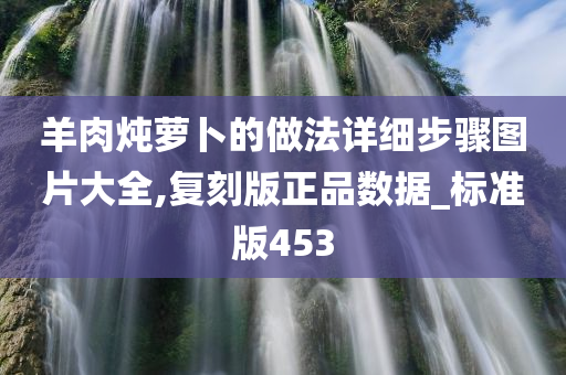 羊肉炖萝卜的做法详细步骤图片大全,复刻版正品数据_标准版453