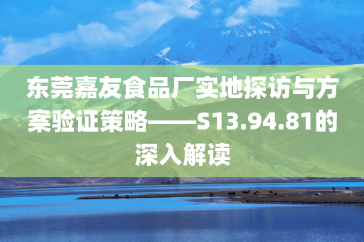 东莞嘉友食品厂实地探访与方案验证策略——S13.94.81的深入解读