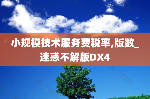 小规模技术服务费税率,版数_迷惑不解版DX4