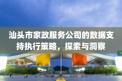 汕头市家政服务公司的数据支持执行策略，探索与洞察