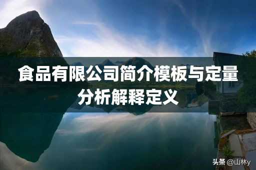 食品有限公司简介模板与定量分析解释定义