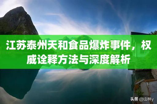 江苏泰州天和食品爆炸事件，权威诠释方法与深度解析