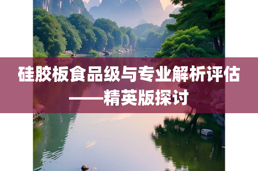 硅胶板食品级与专业解析评估——精英版探讨