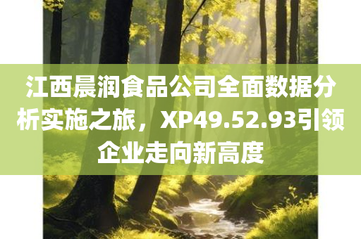 江西晨润食品公司全面数据分析实施之旅，XP49.52.93引领企业走向新高度