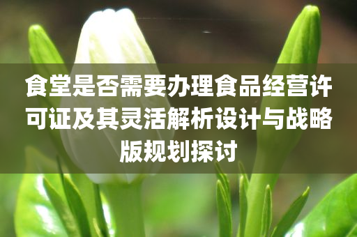 食堂是否需要办理食品经营许可证及其灵活解析设计与战略版规划探讨