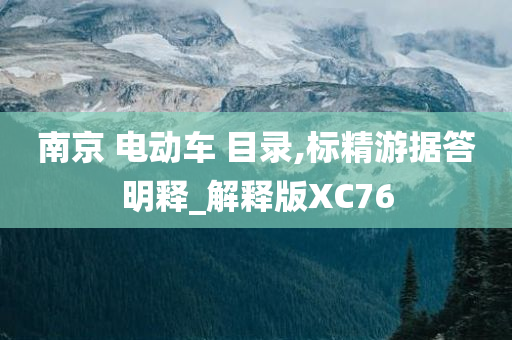 南京 电动车 目录,标精游据答明释_解释版XC76