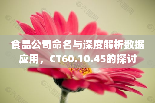 食品公司命名与深度解析数据应用，CT60.10.45的探讨