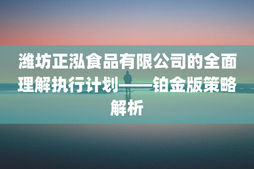 潍坊正泓食品有限公司的全面理解执行计划——铂金版策略解析