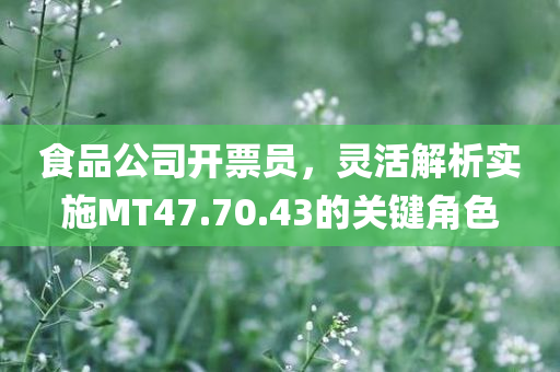 食品公司开票员，灵活解析实施MT47.70.43的关键角色