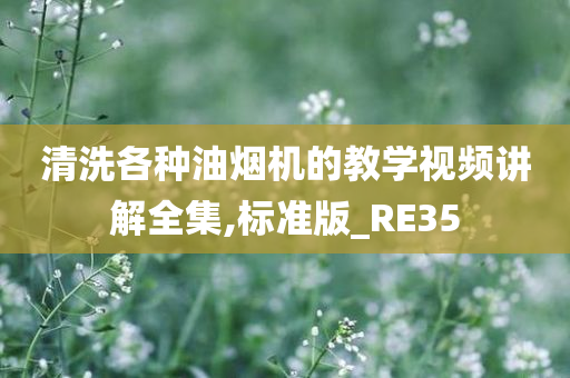 清洗各种油烟机的教学视频讲解全集,标准版_RE35