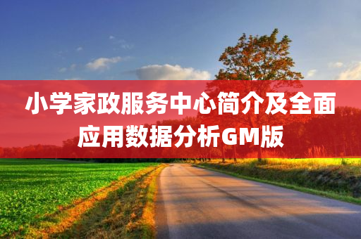 小学家政服务中心简介及全面应用数据分析GM版