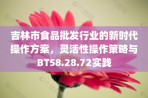 吉林市食品批发行业的新时代操作方案，灵活性操作策略与BT58.28.72实践