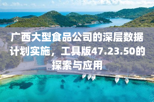 广西大型食品公司的深层数据计划实施，工具版47.23.50的探索与应用