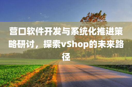 营口软件开发与系统化推进策略研讨，探索vShop的未来路径