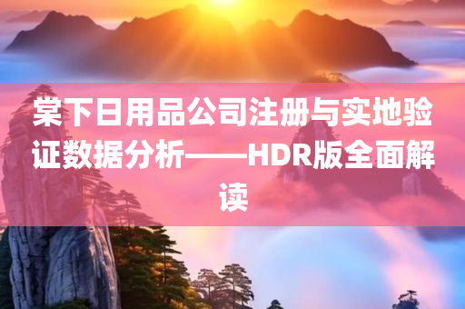 棠下日用品公司注册与实地验证数据分析——HDR版全面解读