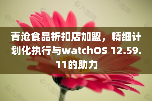 青沧食品折扣店加盟，精细计划化执行与watchOS 12.59.11的助力