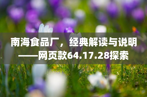 南海食品厂，经典解读与说明——网页款64.17.28探索