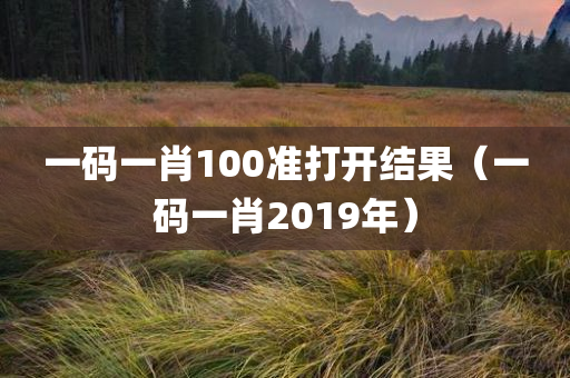 一码一肖100准打开结果（一码一肖2019年）