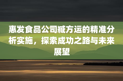 惠发食品公司臧方运的精准分析实施，探索成功之路与未来展望