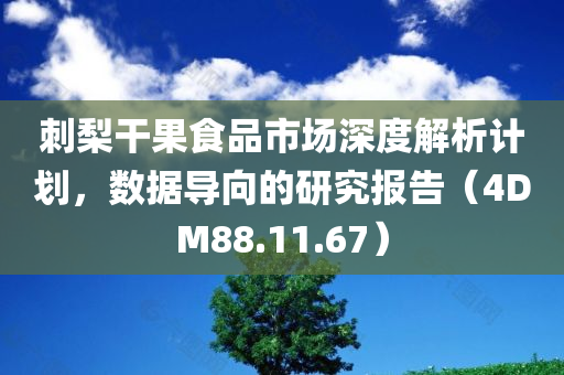 刺梨干果食品市场深度解析计划，数据导向的研究报告（4DM88.11.67）