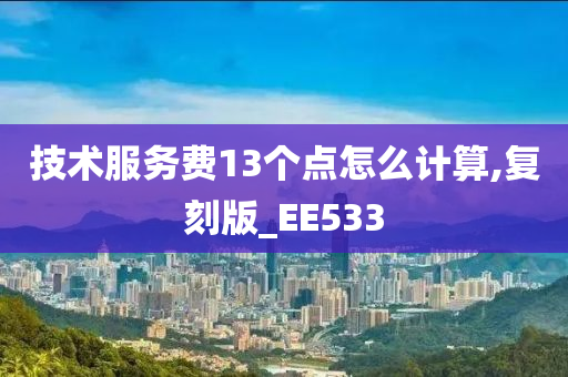 技术服务费13个点怎么计算,复刻版_EE533