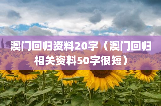 澳门回归资料20字（澳门回归相关资料50字很短）