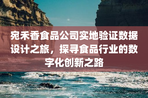 宛禾香食品公司实地验证数据设计之旅，探寻食品行业的数字化创新之路