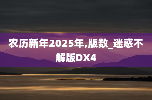 农历新年2025年,版数_迷惑不解版DX4