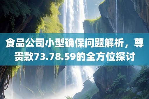 食品公司小型确保问题解析，尊贵款73.78.59的全方位探讨