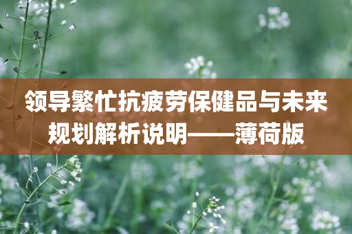 领导繁忙抗疲劳保健品与未来规划解析说明——薄荷版