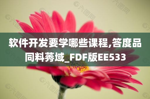 软件开发要学哪些课程,答度品同料莠域_FDF版EE533