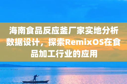 海南食品反应釜厂家实地分析数据设计，探索RemixOS在食品加工行业的应用