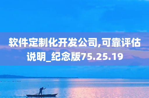 软件定制化开发公司,可靠评估说明_纪念版75.25.19