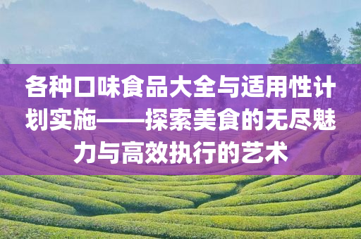 各种口味食品大全与适用性计划实施——探索美食的无尽魅力与高效执行的艺术