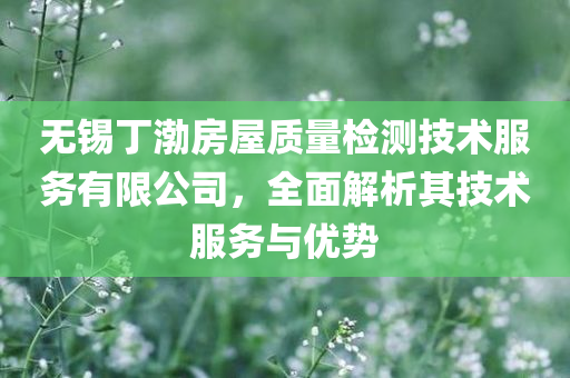 无锡丁渤房屋质量检测技术服务有限公司，全面解析其技术服务与优势