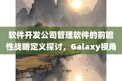 软件开发公司管理软件的前瞻性战略定义探讨，Galaxy视角