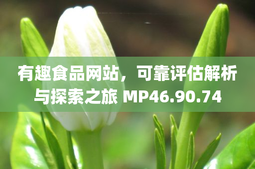 有趣食品网站，可靠评估解析与探索之旅 MP46.90.74