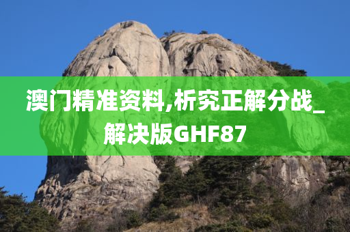 澳门精准资料,析究正解分战_解决版GHF87