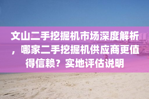 文山二手挖掘机市场深度解析，哪家二手挖掘机供应商更值得信赖？实地评估说明