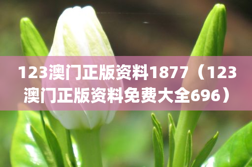 123澳门正版资料1877（123澳门正版资料免费大全696）