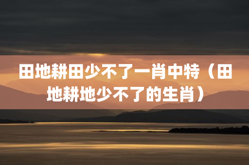 田地耕田少不了一肖中特（田地耕地少不了的生肖）