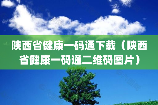 陕西省健康一码通下载（陕西省健康一码通二维码图片）