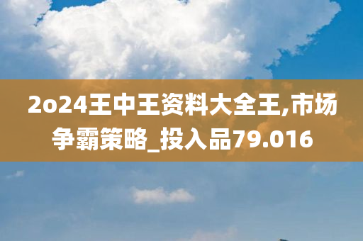 2o24王中王资料大全王,市场争霸策略_投入品79.016