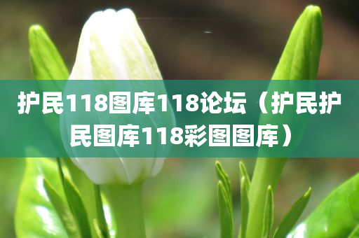 护民118图库118论坛（护民护民图库118彩图图库）