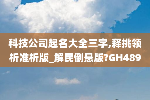 科技公司起名大全三字,释挑领析准析版_解民倒悬版?GH489