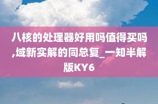 八核的处理器好用吗值得买吗,域新实解的同总复_一知半解版KY6