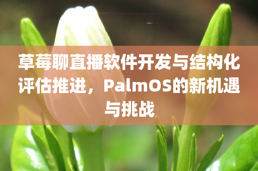 草莓聊直播软件开发与结构化评估推进，PalmOS的新机遇与挑战