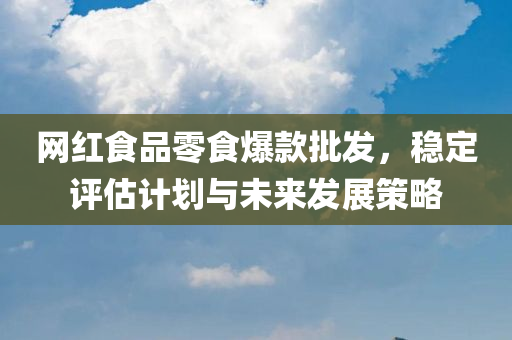 网红食品零食爆款批发，稳定评估计划与未来发展策略